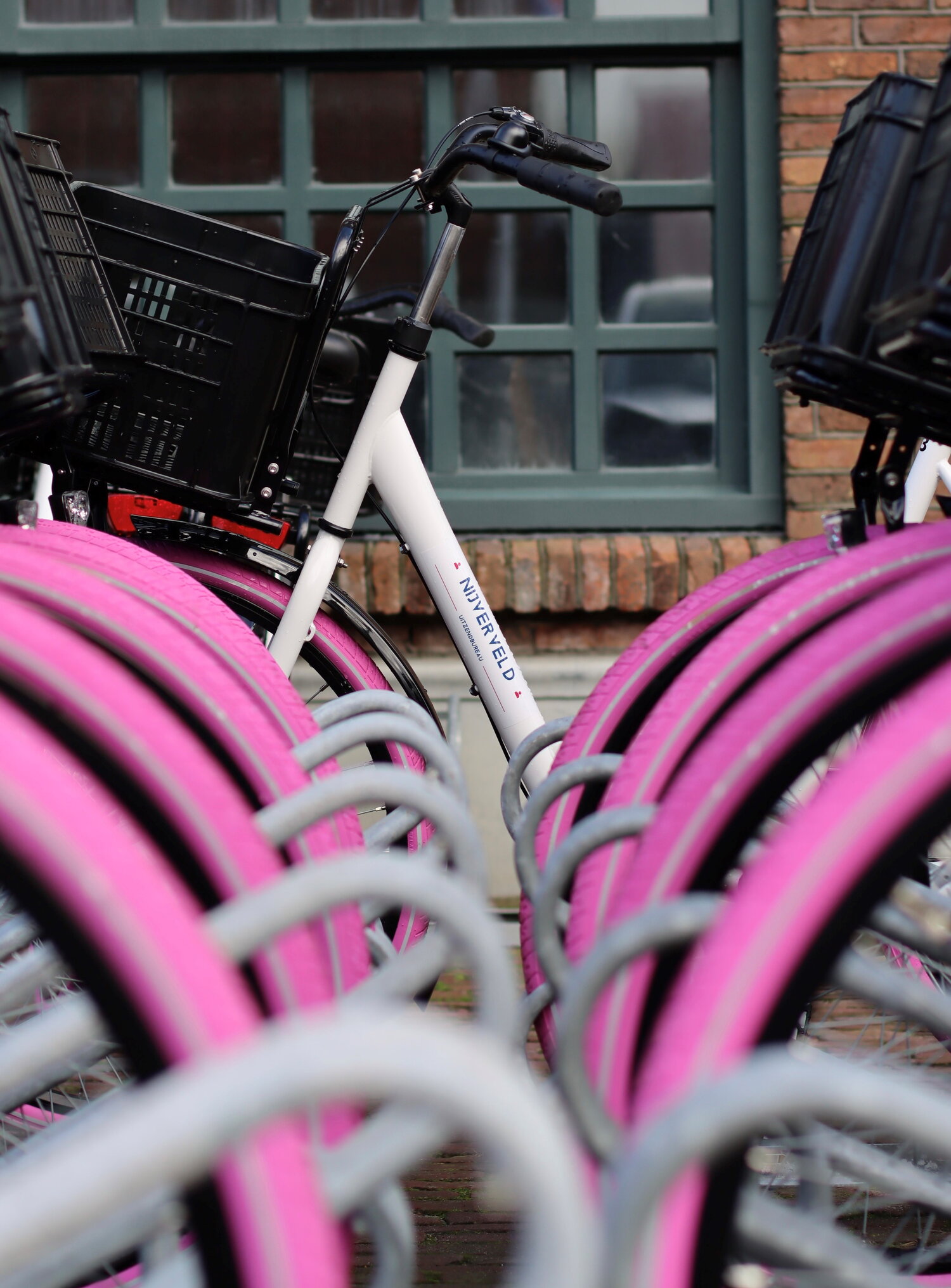 Adbike Fietsen Voor Nijverveld