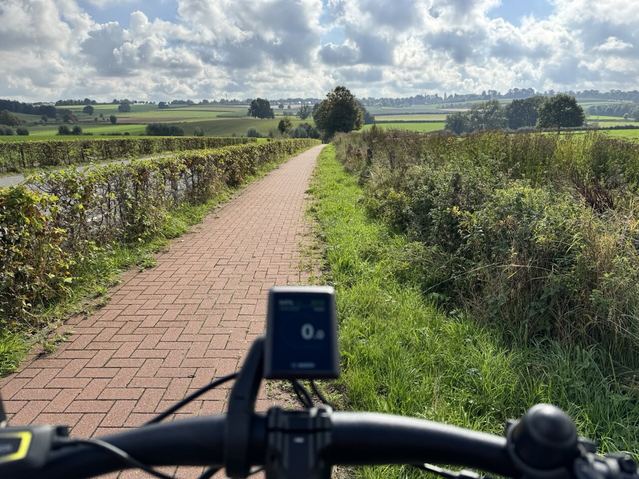 Een fietsstuur en fietspad met struiken langs de kant, weilanden en een bewolkte lucht in de verte